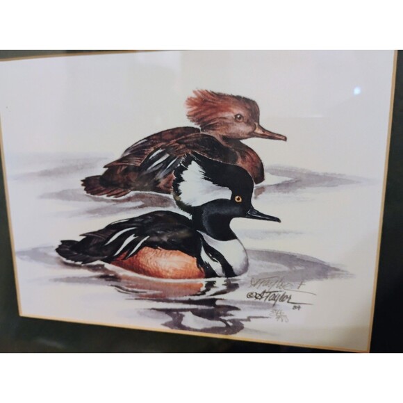 Alice Taylor Duck Prints, Signed, Numbered & Framed 1984, 4 Reflections Mallards - Picture 5 of 10